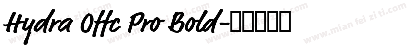 Hydra Offc Pro Bold字体转换